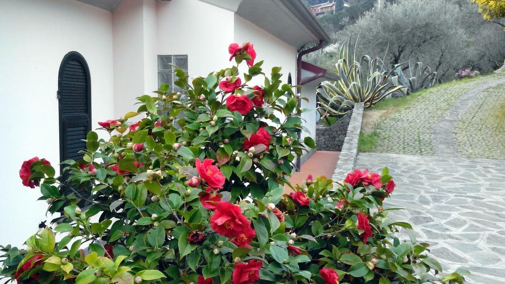 Villa Il Pettirosso Специя Стая снимка